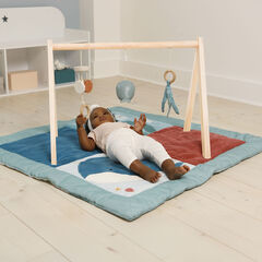 Ocean Collection Baby Activity Gym & Accessories  hi-res